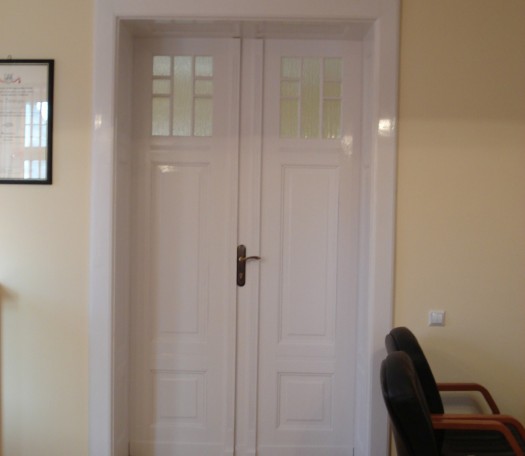 Interior wooden doors