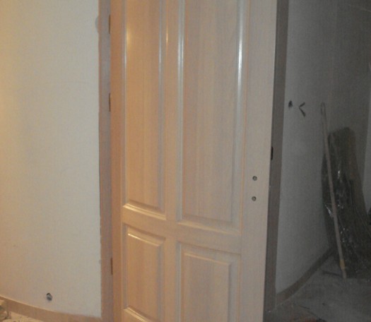 Interior wooden doors