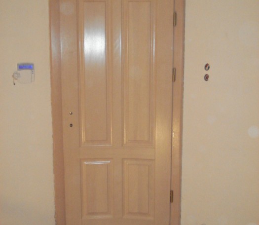 Interior wooden doors