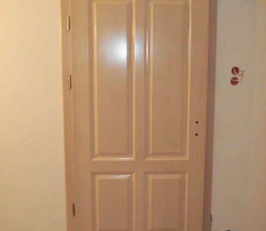 Interior wooden doors