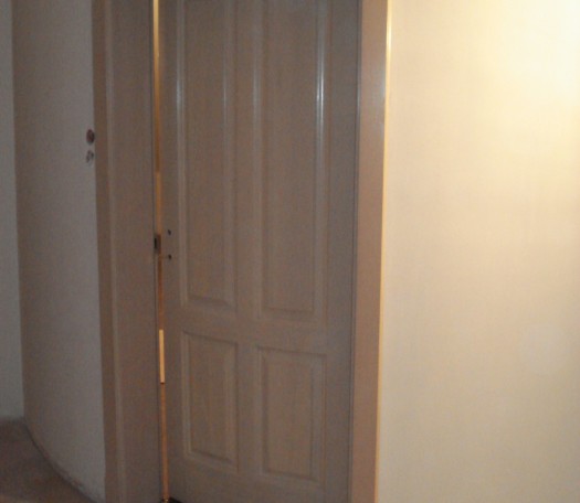 Interior wooden doors