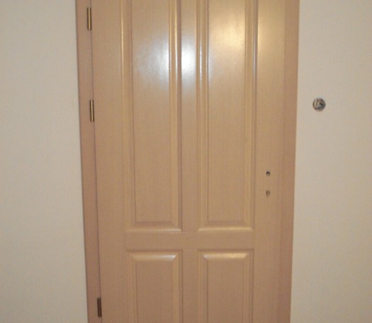 Interior wooden doors